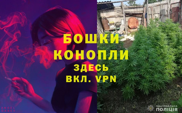 PSILOCYBIN Богданович