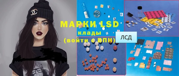 PSILOCYBIN Богданович