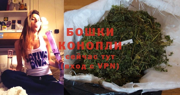 PSILOCYBIN Богданович