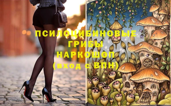 прущая мука Богородицк